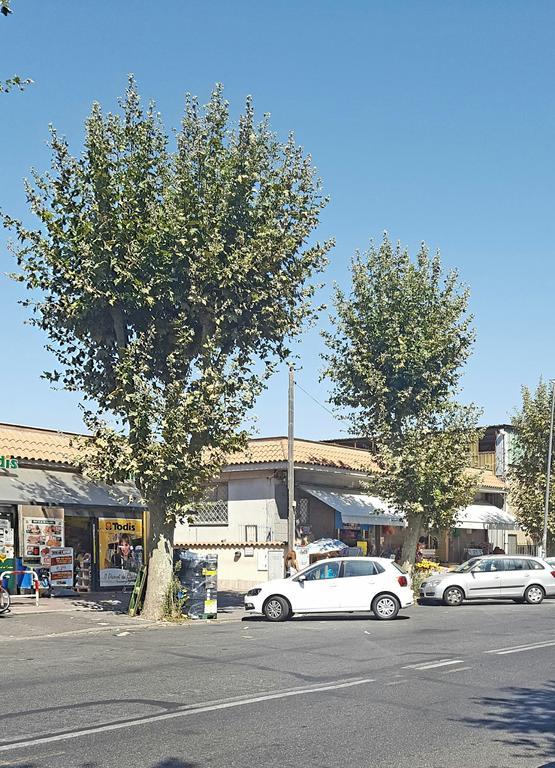 Casa Vacanze Giramondo Fiumicino Bagian luar foto